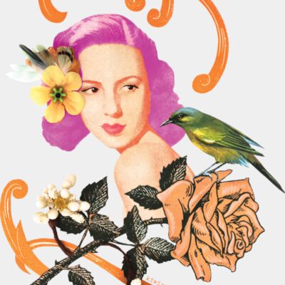 The Bellbird Thumbnail